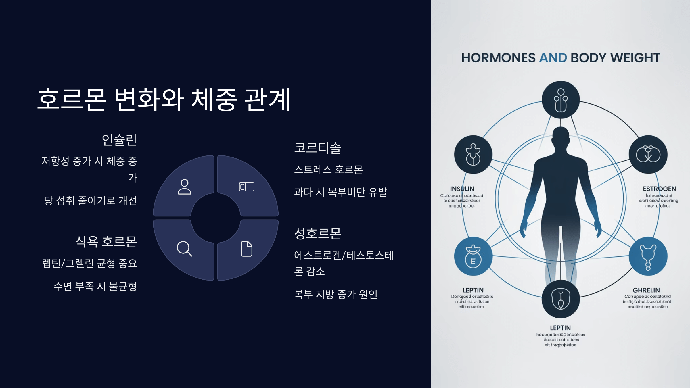 호르몬 변화가 체중에 미치는 영향
