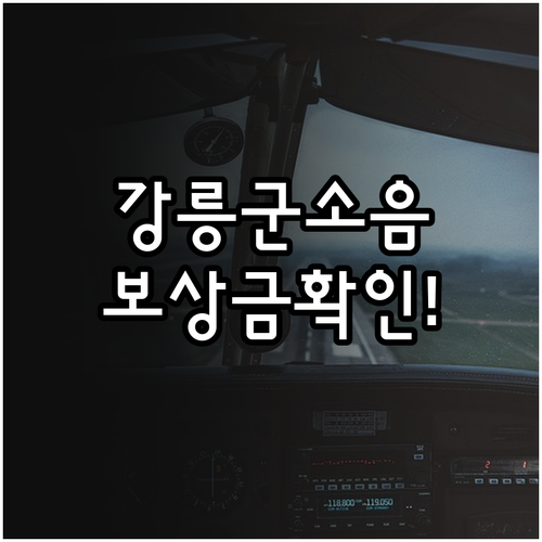 강릉시 군소음 보상 제도 요약 및 거..