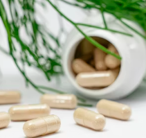 유산균 프로바이오틱스 부작용