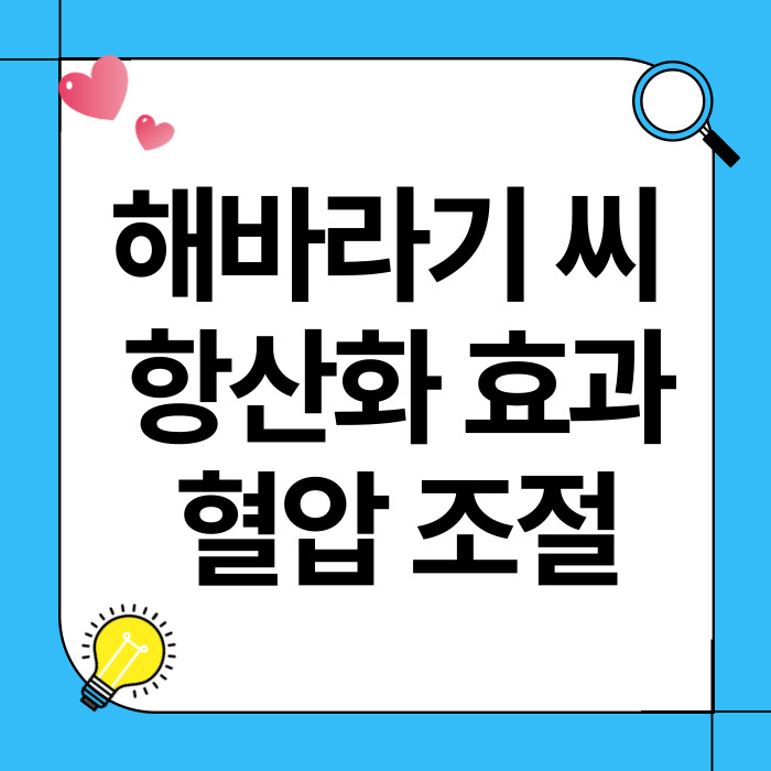 해바라기 씨 – 항산화 효과와 혈압 조절