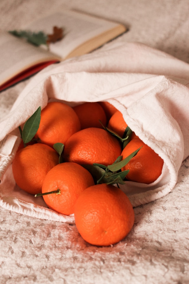 제주 못난이 귤 가성비 맛 보관법 총정리