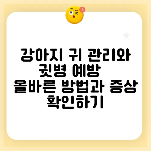 강아지 귀 관리와 귓병 예방 – 올바른 방법과 증상 확인하기