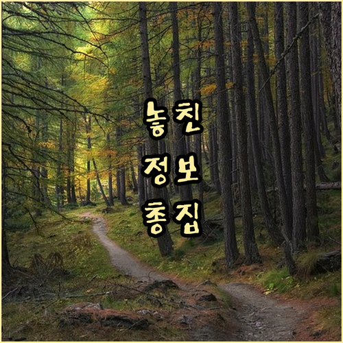 ESTA 승인 메일 누락 공식 웹사이..