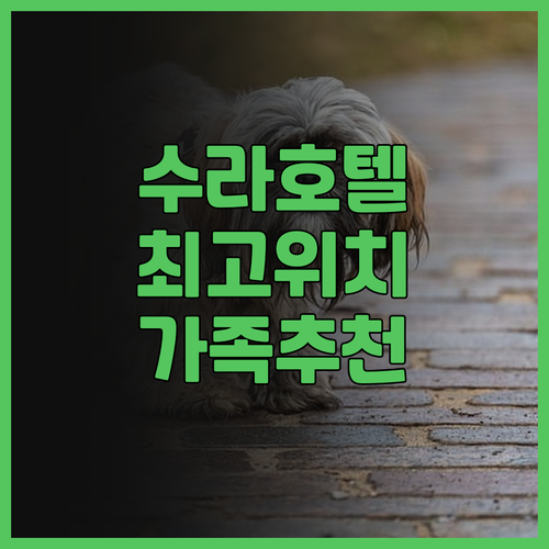 수라 하지아 소피아 호텔, 이스탄불 ..