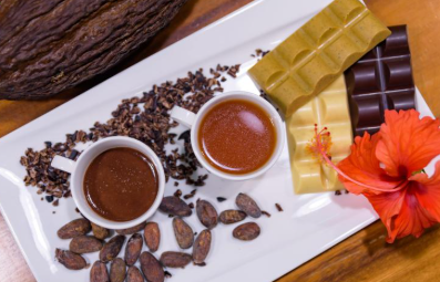 카카오닙스 효능