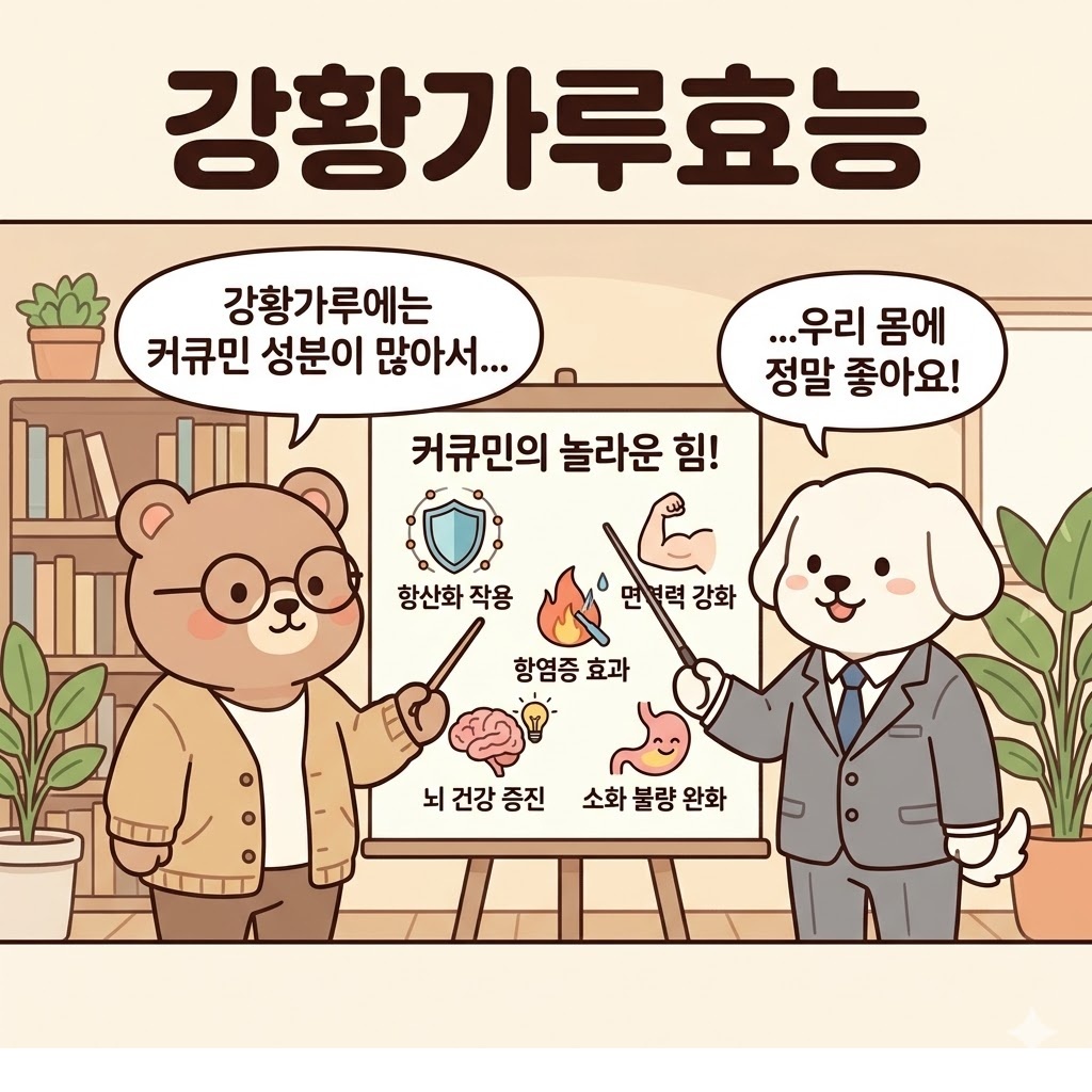 강황가루효능 먹기 전 알아야 할 기대 효과와 주의 기준