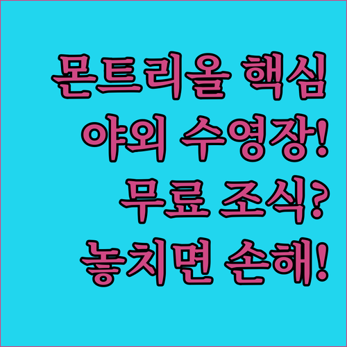 몬트리올 호텔 추천 야외 수영장 무료..