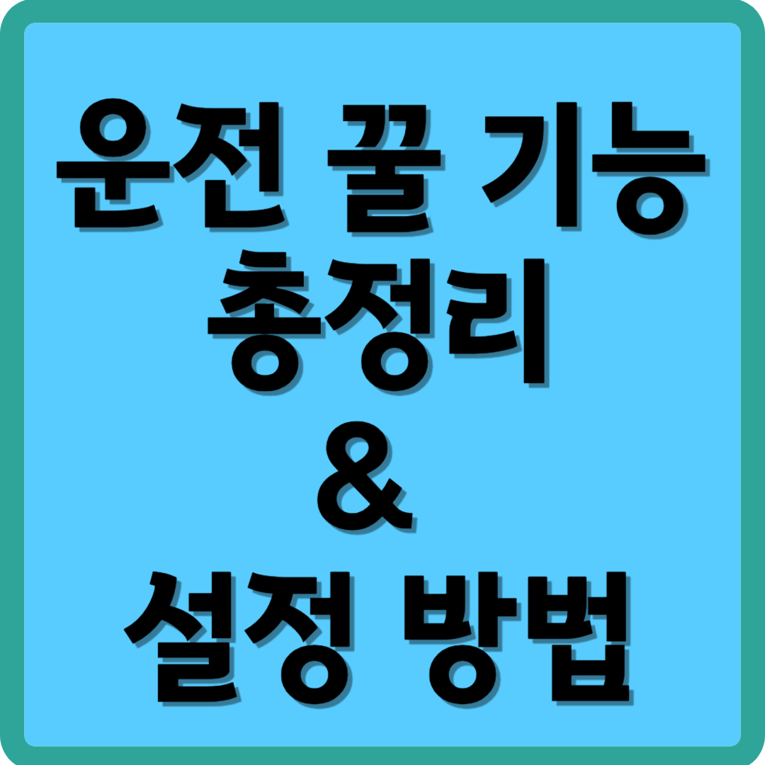 운전 꿀 기능 총정리 & 설정 방법