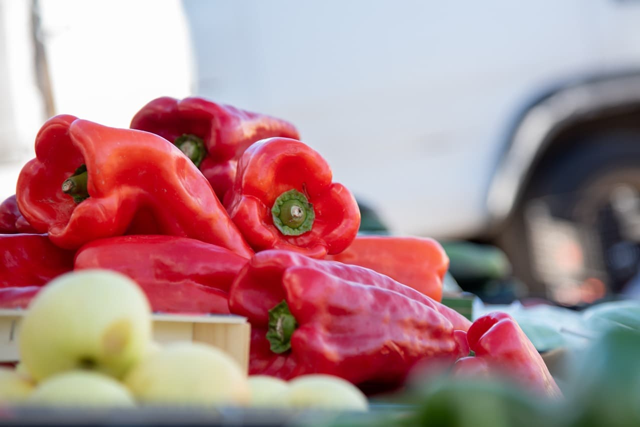 지방간 없애는 방법