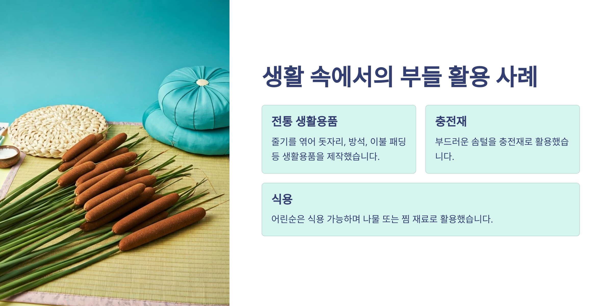 부들