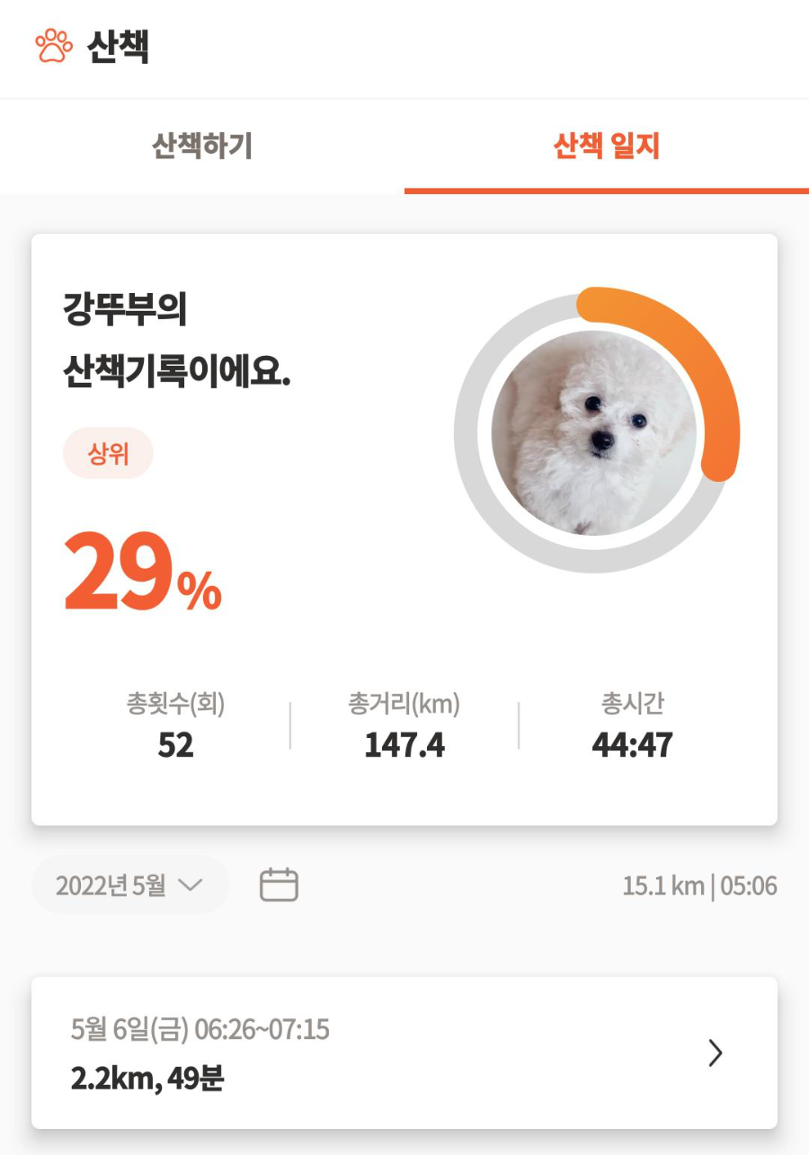 펫피 산책 어플 실행 화면