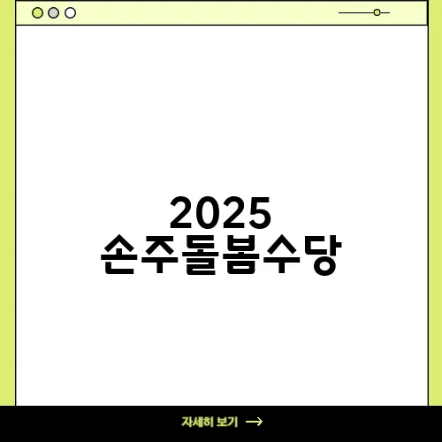 2025 손주돌봄수당, 전국 자치시·구별 지원금액 및 신청 방법