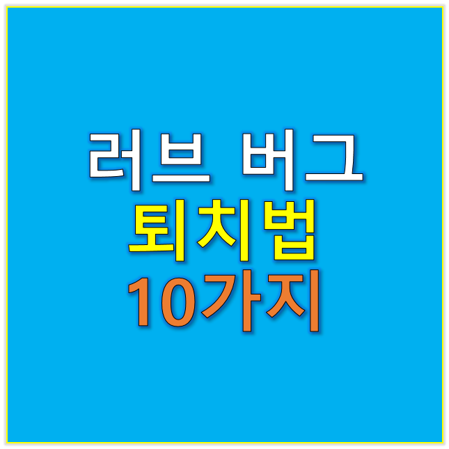 러브 버그 퇴치법 10가지 확인하기