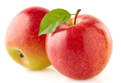 사과 사진