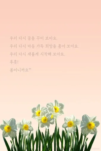 3월 인사말 모음 예시 문자_22