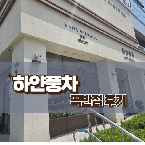 수원 3대빵집 하얀풍차 곡반점 - 화이트롤, 치즈바게뜨, 쌀바게뜨 가격 후기