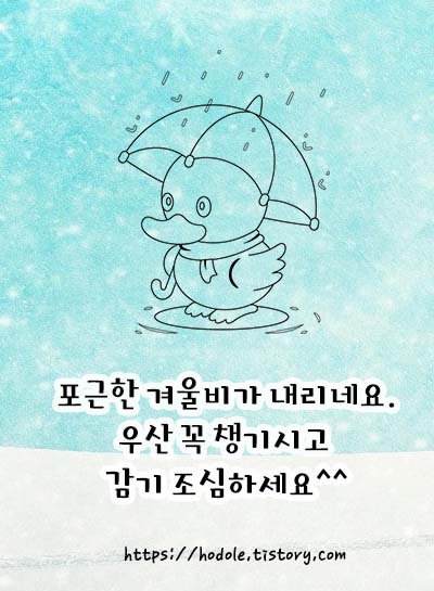 오리는꿱꾸ㅡㅔ