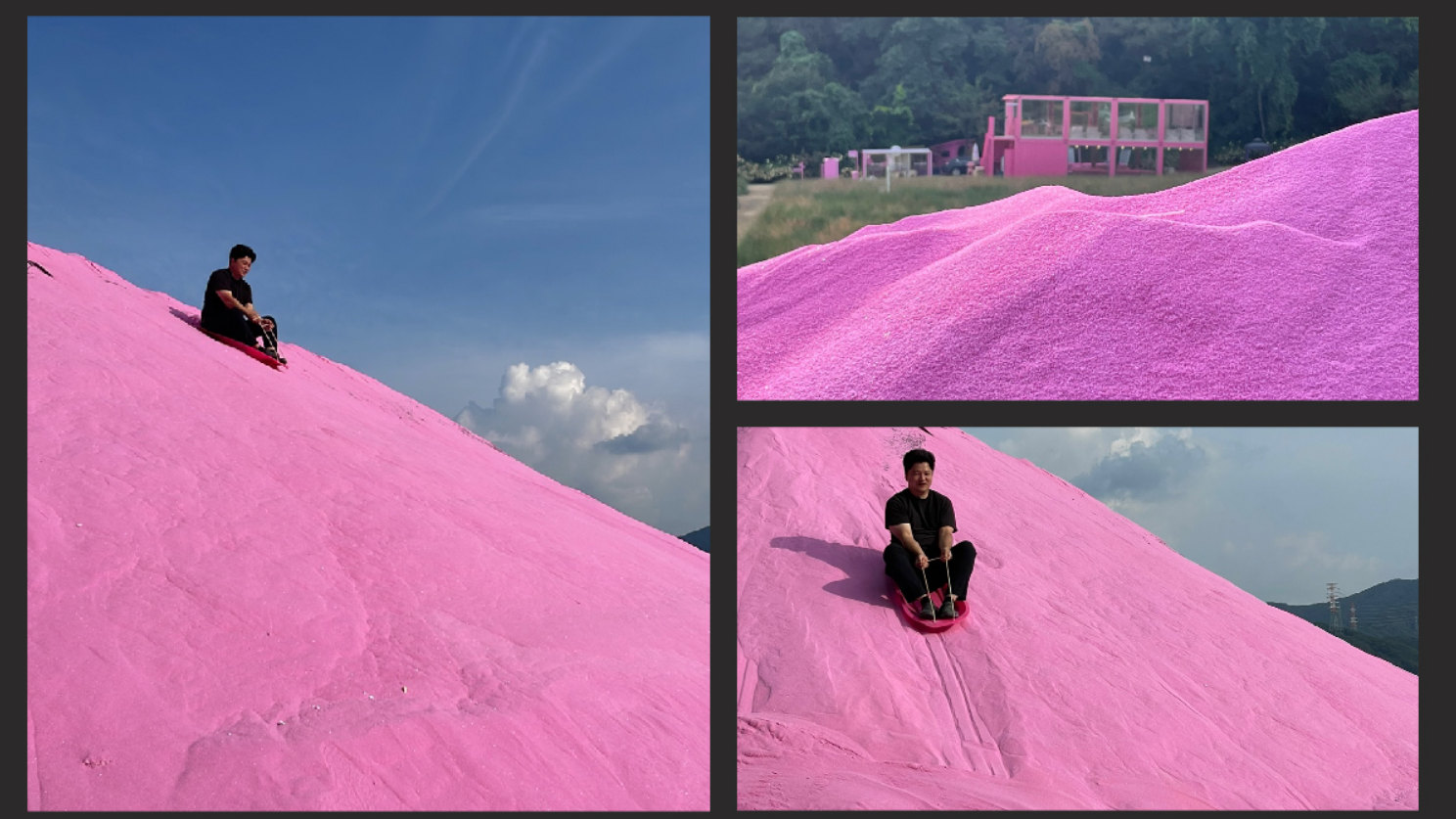 2024 핑크뮬리 축제와 개화시기, 명소 추천 Best 10-포천아일랜드-핑크썰매