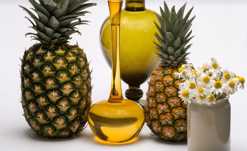 파인애플 사진 - 1