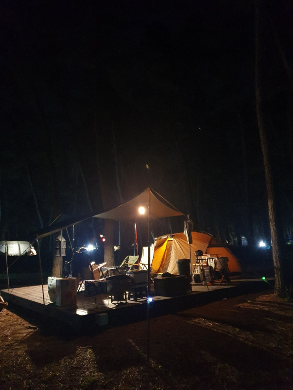 강릉 솔향기 캠핑장