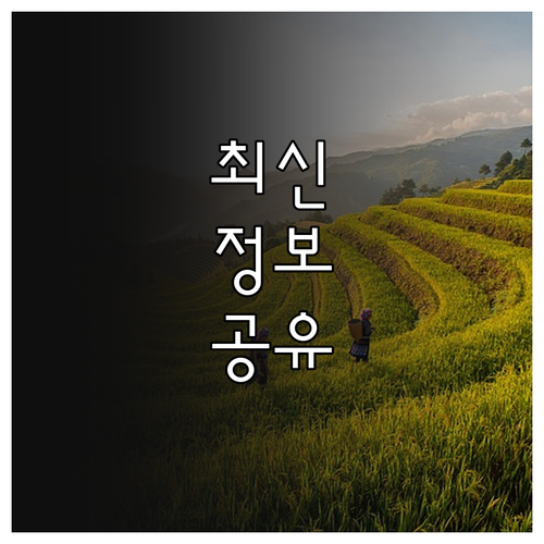 2025 수원 벼농사 성공 비결 상토..