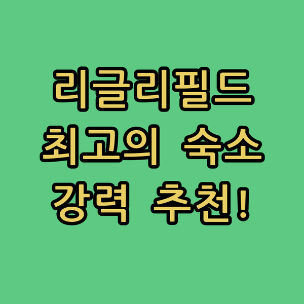 리글리 필드 인근 THE CHICAG..