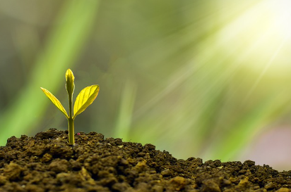 근로장려금 신청방법