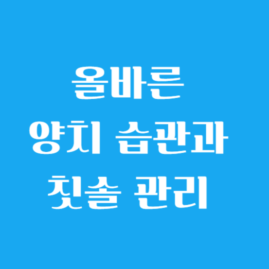 올바른 양치 습관과 칫솔 관리 알아보기