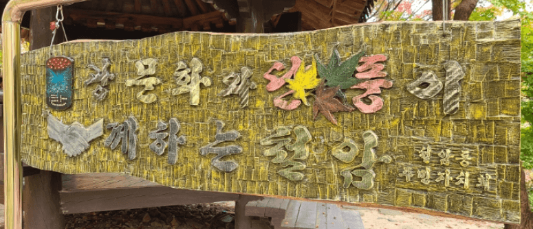 태백시 철암 단풍군락지