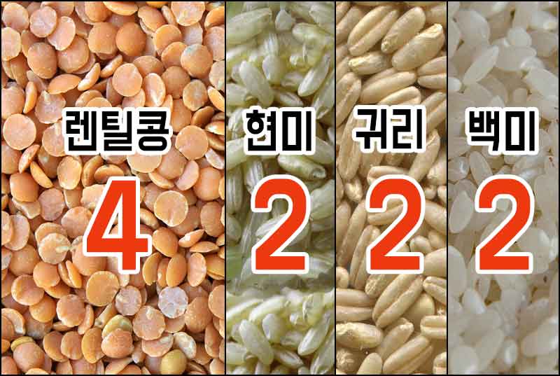 렌틸콩4 : 현미2-귀리2-백미2-비율