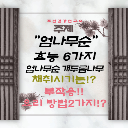 엄나무순 효능 6가지 개두릅 나무 채취시기 개두릅 데치기 봄나물 엄나무순 손질 요리법 보관법