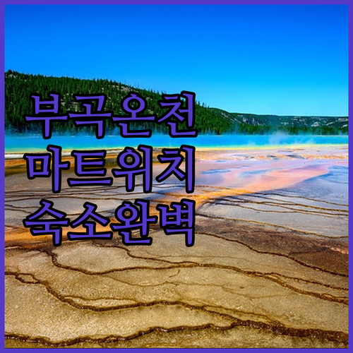 부곡 온천 뚜벅이 여행 부곡농협하나로..