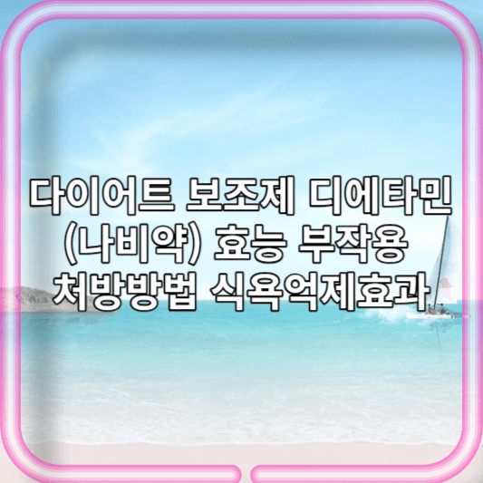 다이어트 보조제 디에타민(나비약) 효능 부작용 처방방법 식욕억제효과