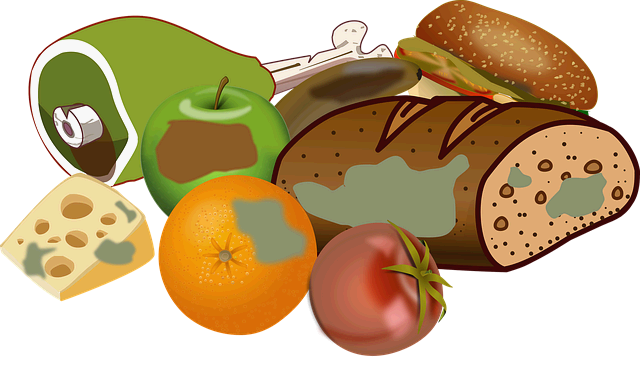 부패한 식재료 일러스트