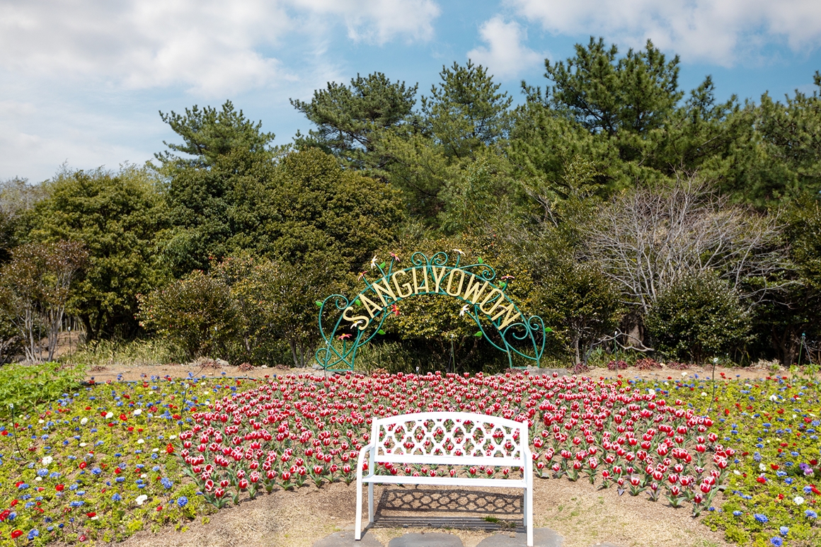2024 상효원 튤립축제 기본일정과 특징 소개