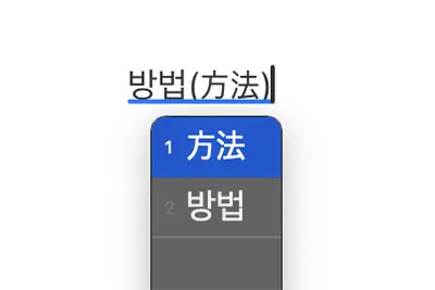 초기 설정에서의 한자 표시 방식