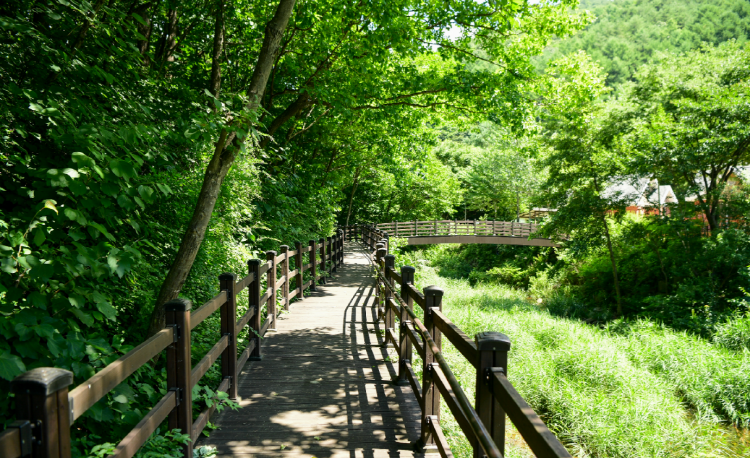 광치자연휴양림