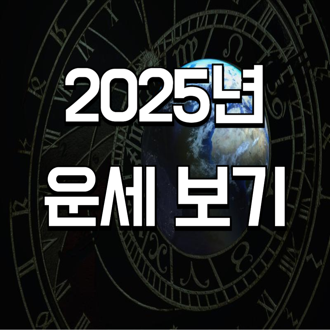 2025년 운세 ✅