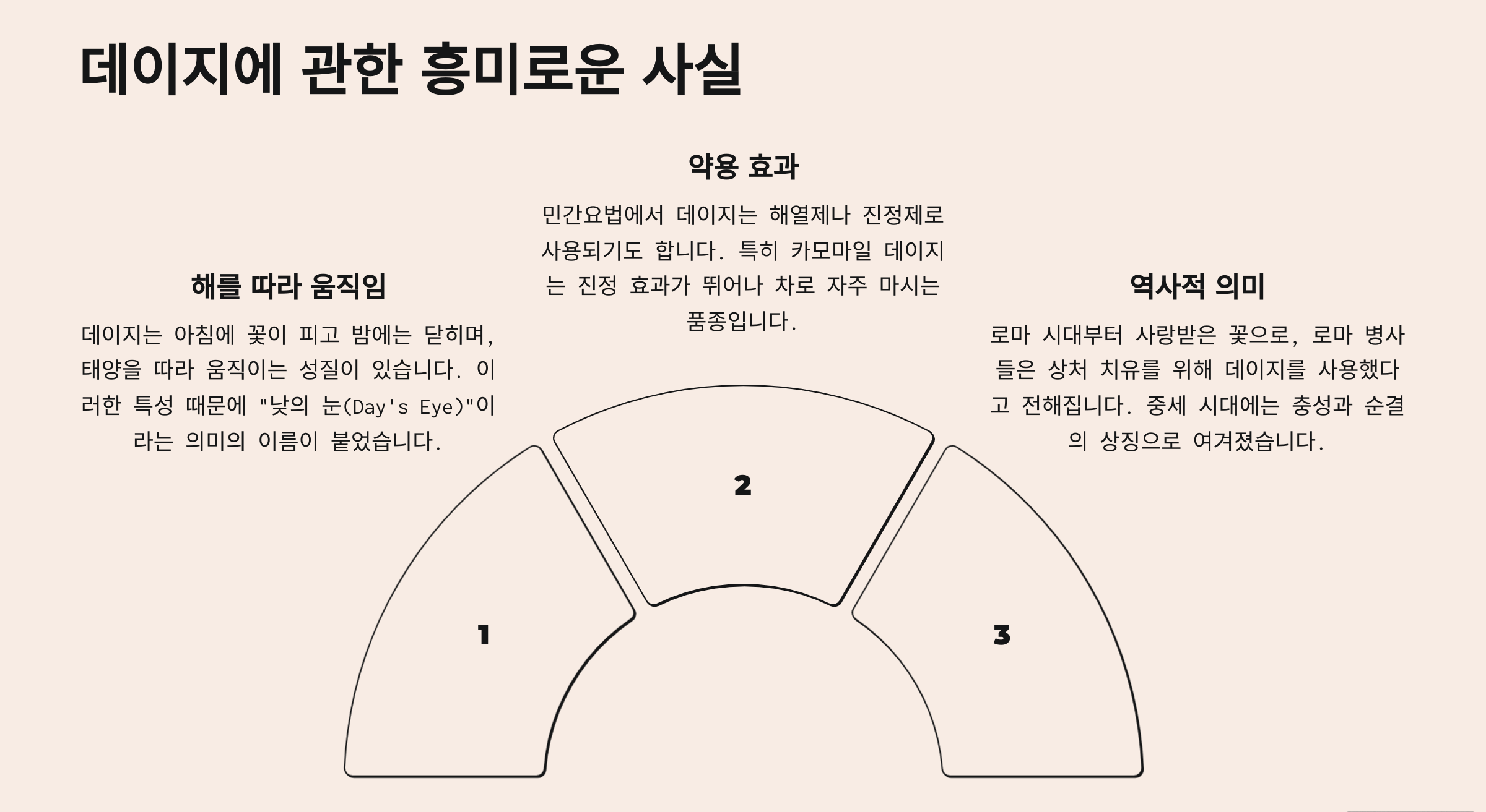 데이지 꽃