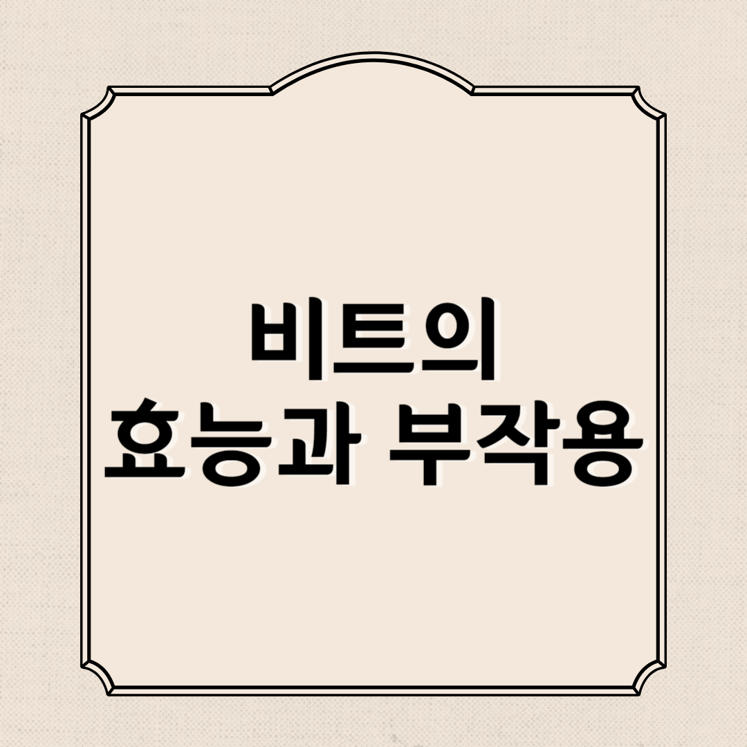 비트의 효능