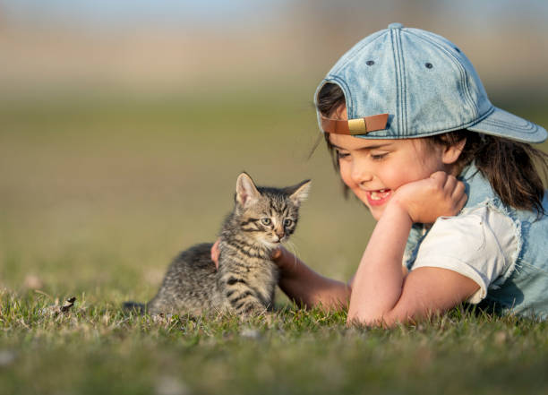 식사 습관 &amp; 사료 선택