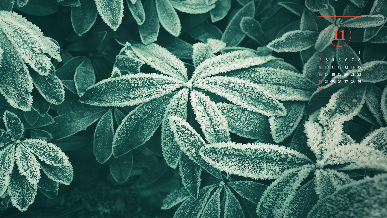 02 풀잎에 내린 서리 A - 2025년11월 노트북배경화면