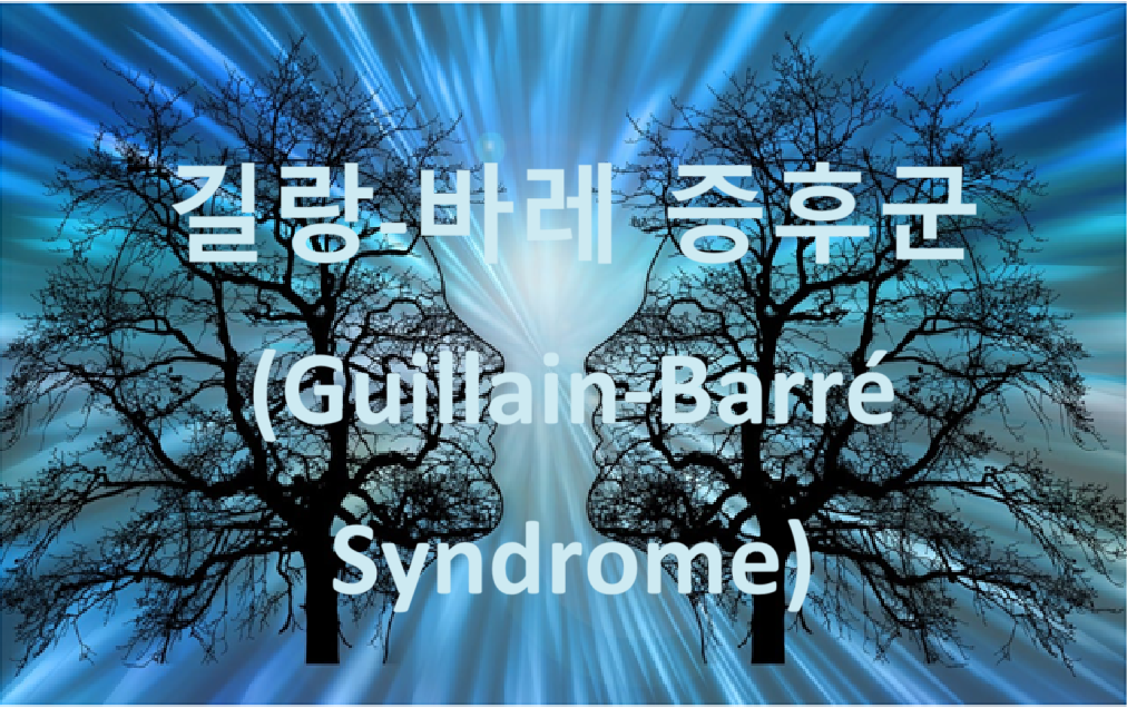 길랑-바레 증후군(Guillain-Barré Syndrome, GBS) 총정리 블로그