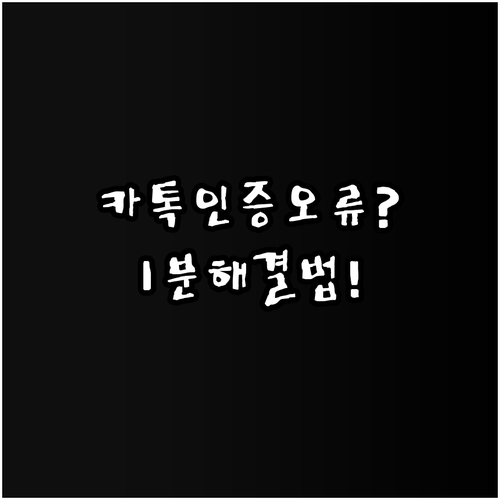 카카오페이 인증 정보 불일치 메시지 ..
