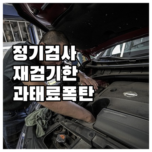 자동차 정기검사 재검사: 무료 기간 ..