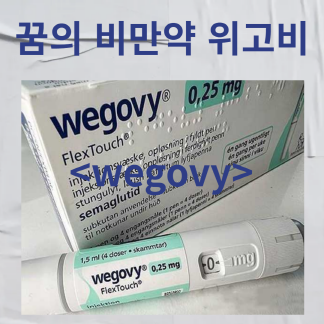 꿈의 비만 약 위고비