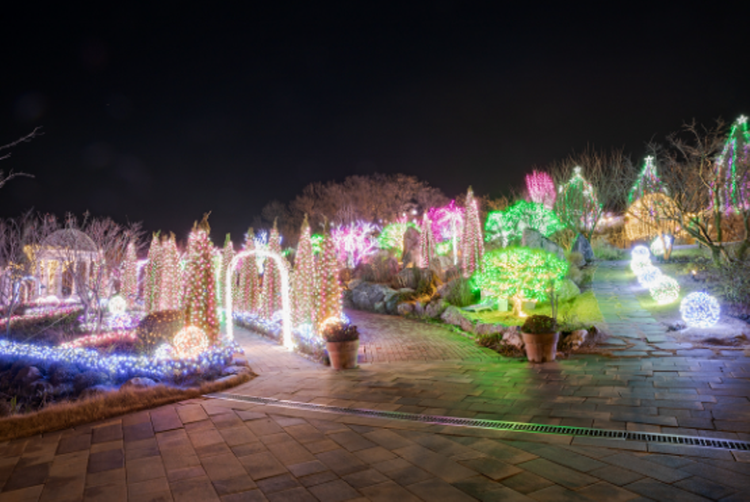 퍼스트가든 별빛축제