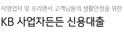 KB 사업자든든 신용대출