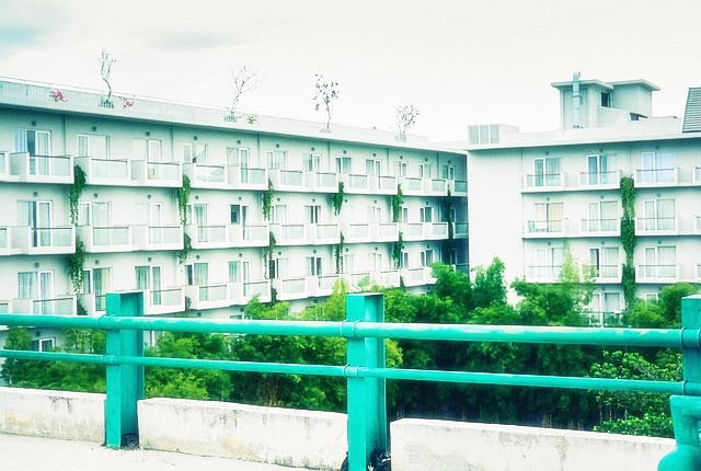 자동차통합이력조회