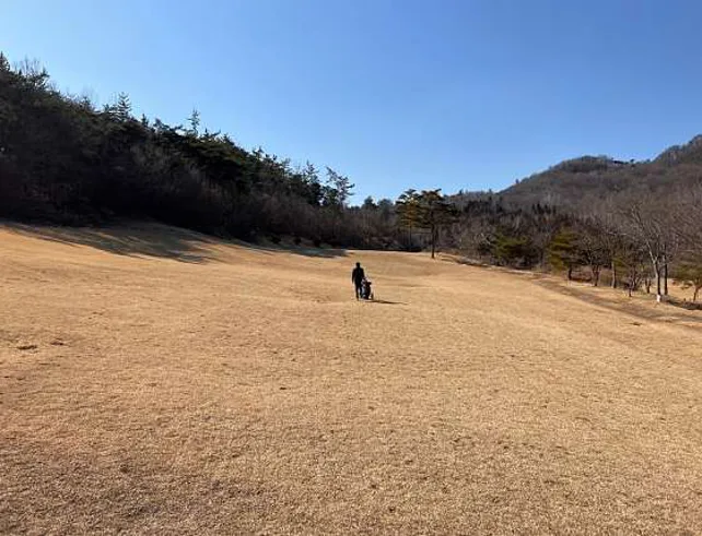 남평골프